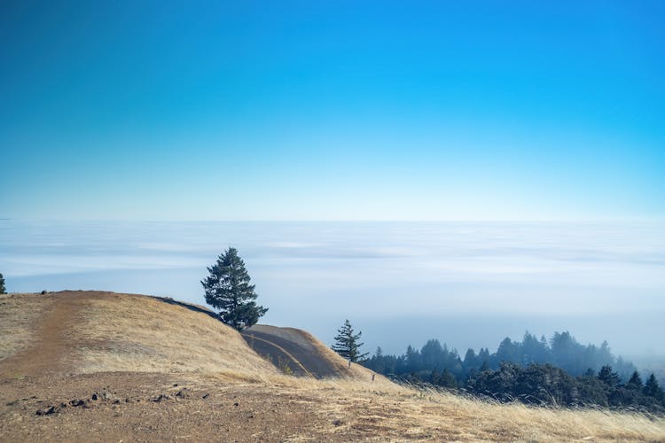 Valley In Fog Seen From Mountain