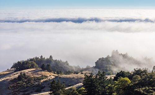 Free A breathtaking aerial view of misty forest hills emerging through clouds and fog. Stock Photo
