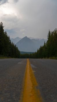 A foggy mountain road in Banff National Park lined with conifer trees, ideal for travel and adventure themes.