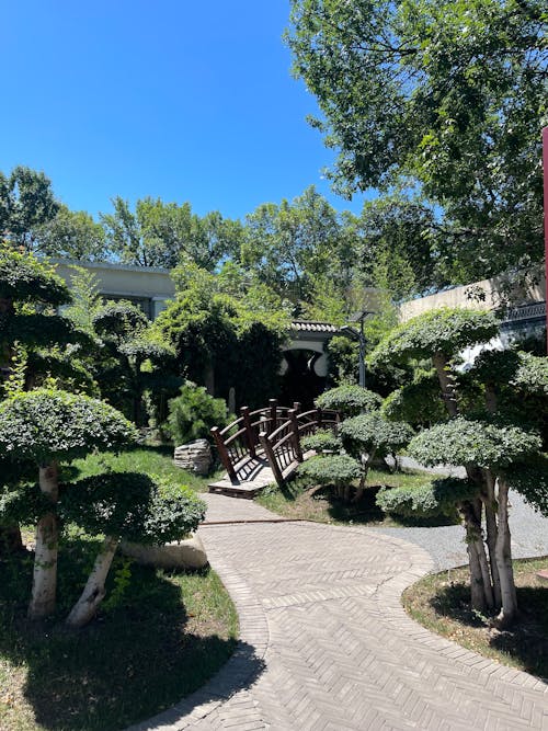 A Paved Walkway in a Garden