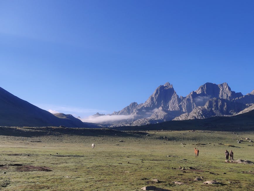 Expansive mountain landscape with clear blue sky and grass field, perfect for nature lovers.