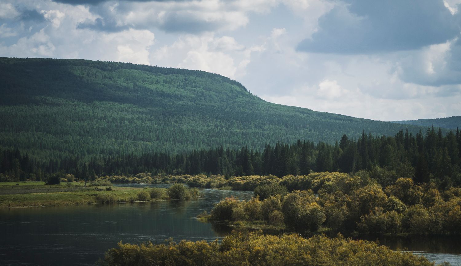 Forest surrounds the springs just outside Whitehorse.