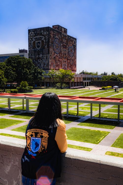 Free A woman gazes at UNAM's iconic Central Library on a sunny day in Mexico City. Stock Photo
