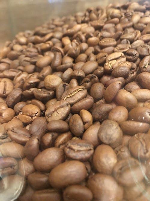coffee bean 咖啡豆