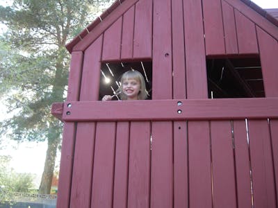 Maize Flour - Image 1