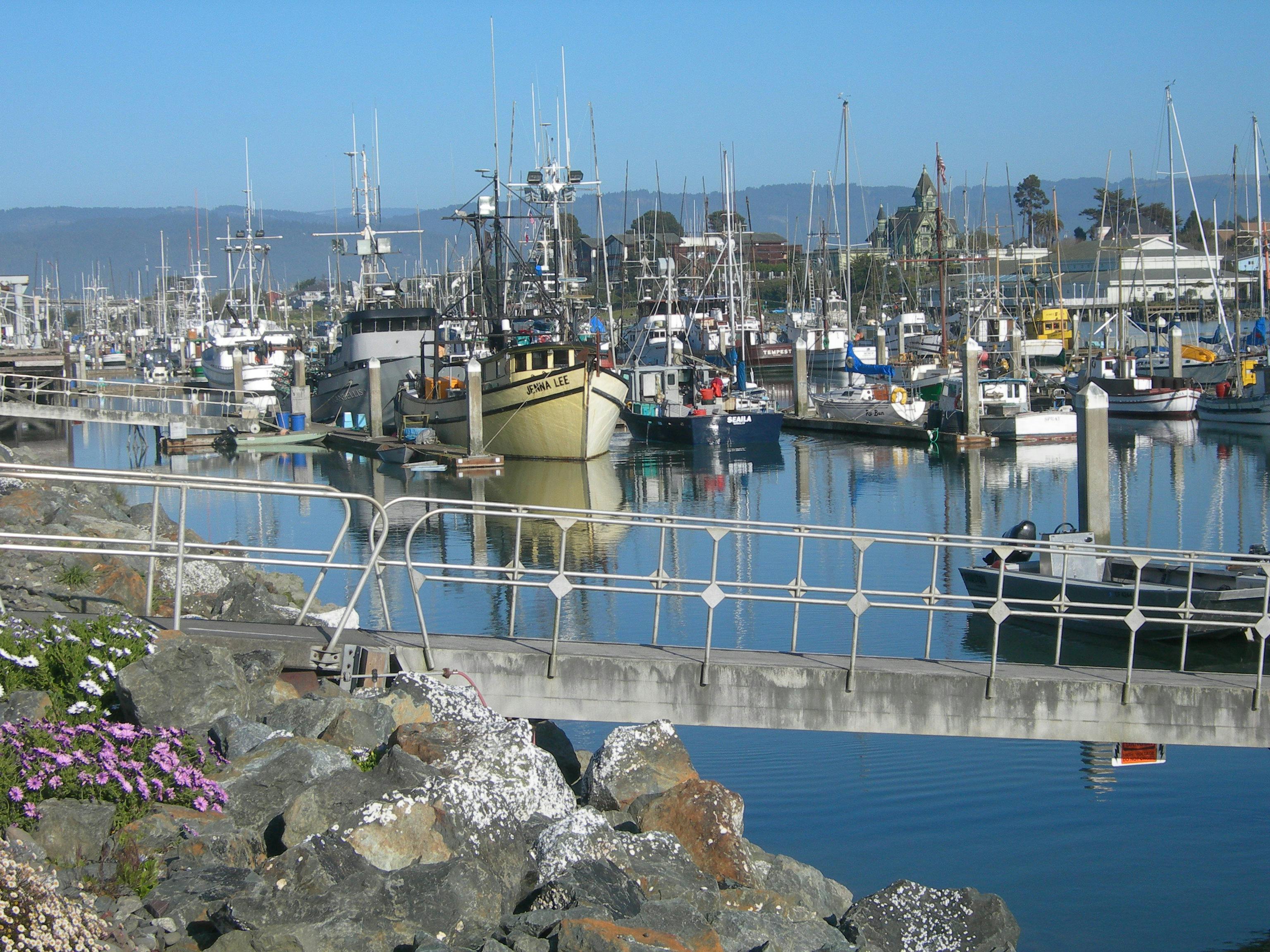 인체공학적 키보드와 마우스를 사용하는 사람