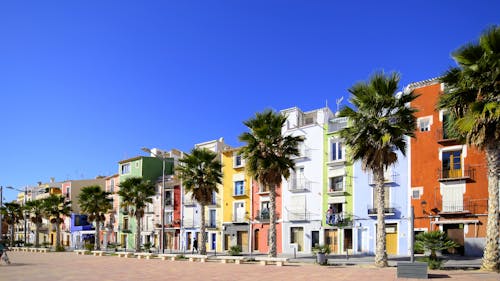 Green Palm Trees Near Colorful Concrete Building