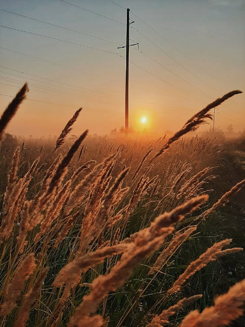 Free stock photo of atmospheric evening, beautiful nature, beautiful sunset