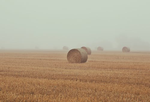 Základová fotografie zdarma na téma balíky, hřiště, mlha