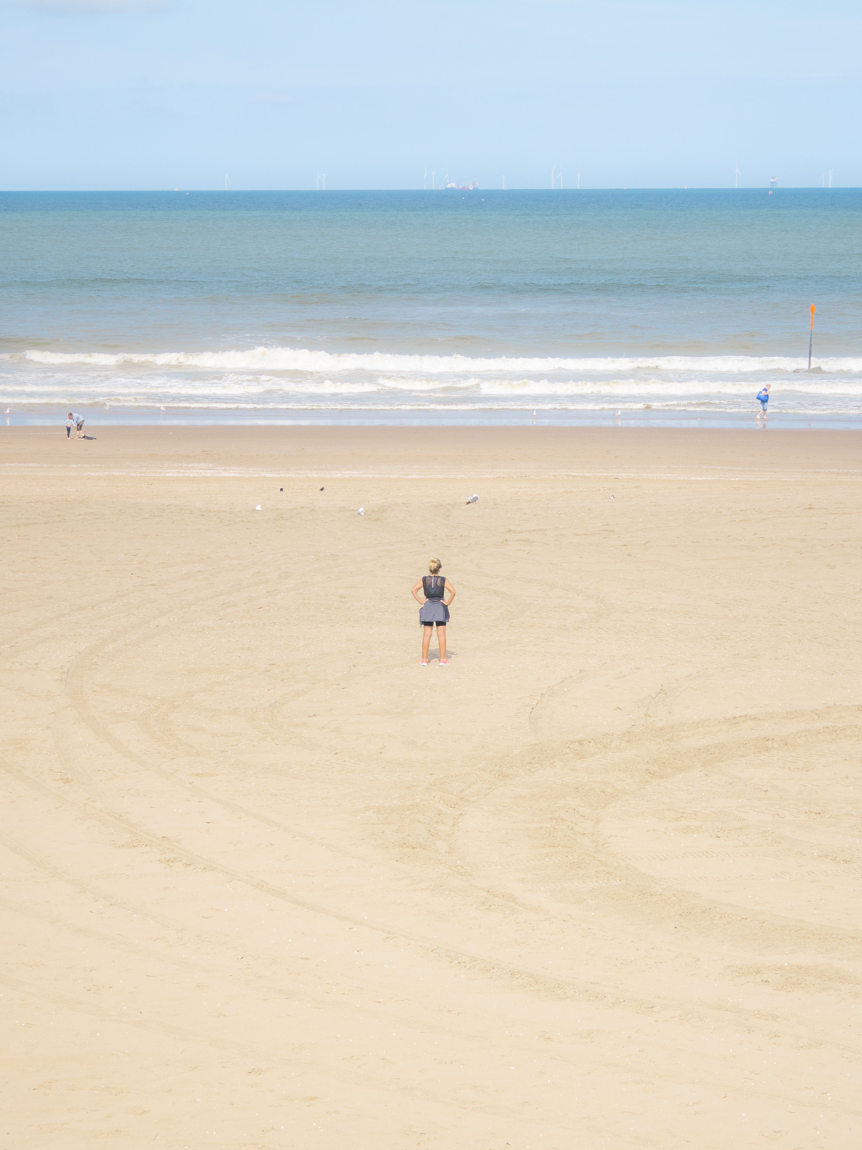 Woman in Black Bikini Standing on the Beach · Free Stock Photo
