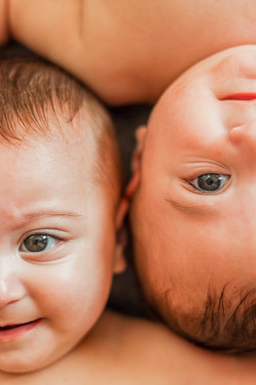 bebekler, çok sevimli, değerli içeren Ücretsiz stok fotoğraf