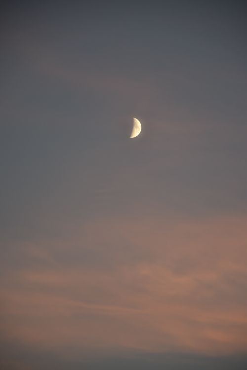 Free A tranquil view of the half moon against a dusky sky with soft clouds. Stock Photo