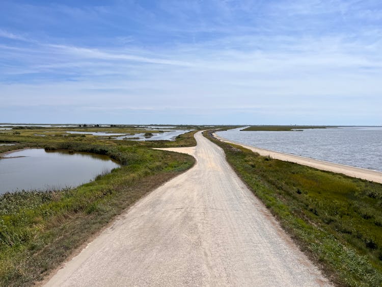 Road Through The Marsh 