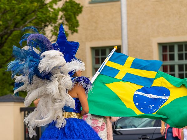 Pole Flags, image 5 of 5