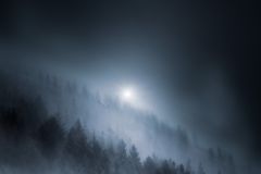 Ethereal mist envelops a forest in Czechia, creating a mysterious nighttime landscape.
