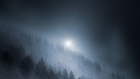 Ethereal mist envelops a forest in Czechia, creating a mysterious nighttime landscape.