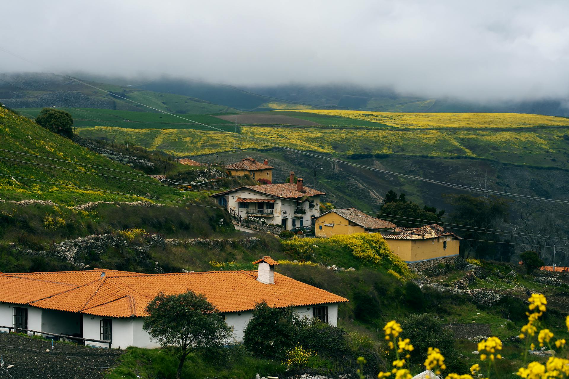 Foggy village landscape in Mérida, Venezuela with lush fields and traditional houses.