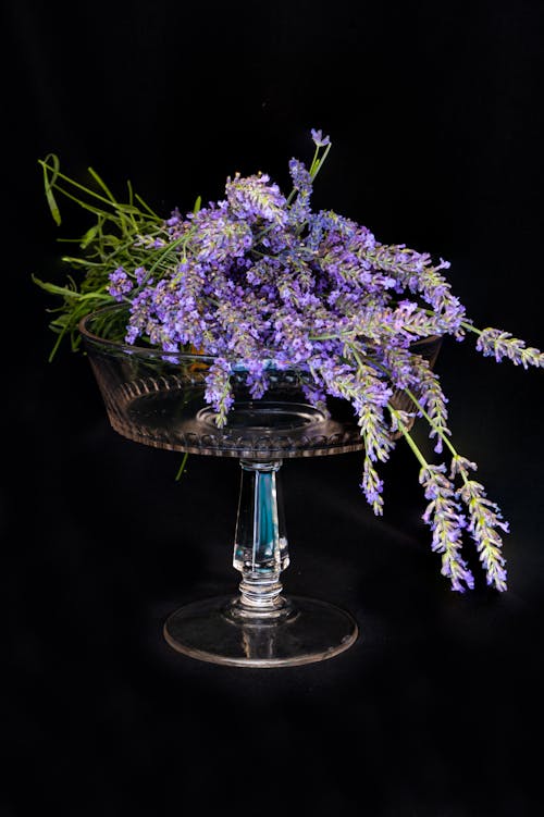 Lavender Flowers on Glassware