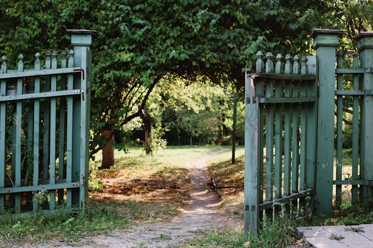 A Pathway With An Open Wooden Gate