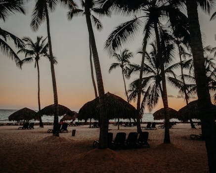 Peaceful tropical beach at sunset with palm trees and straw umbrellas casting silhouettes.