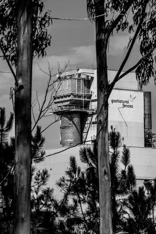 Darmowe zdjęcie z galerii z budynek, centralny, czarno-biały