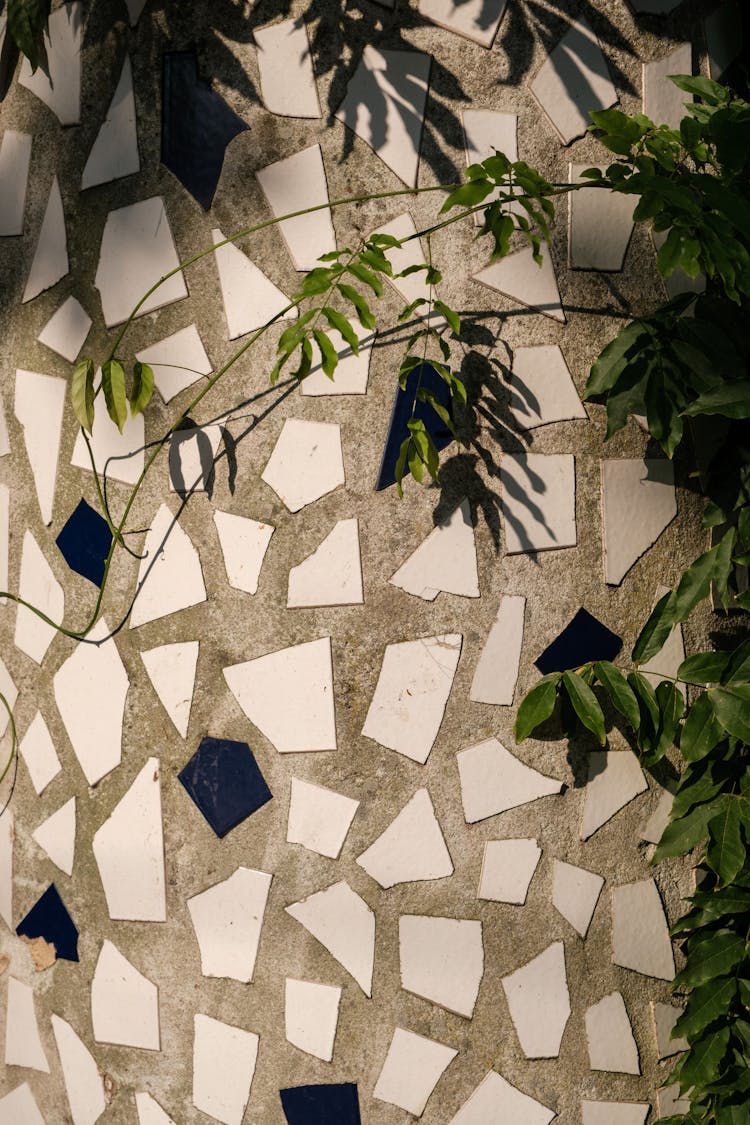 Mosaic Wall And Plant Leaves