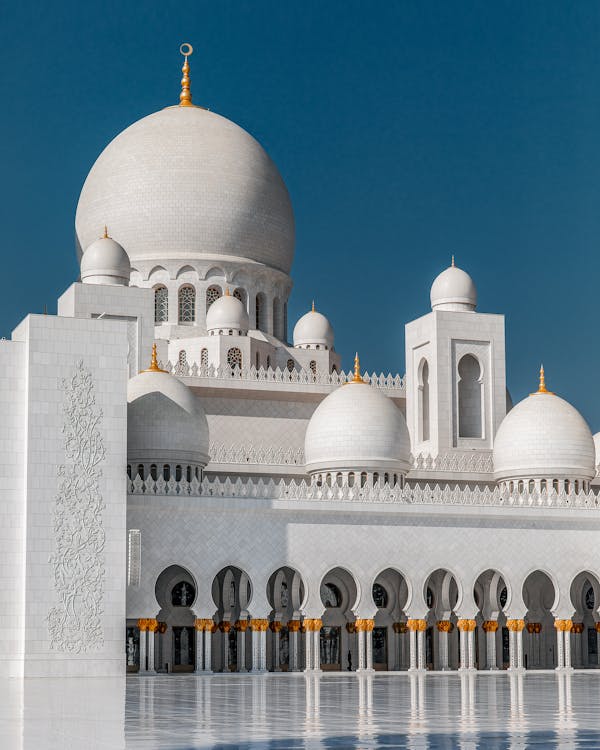 Building With Traditional Domes