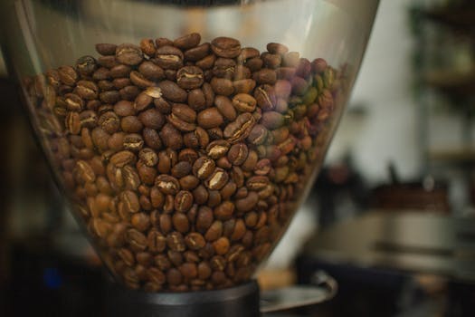 Coffee beans in a grinder hopper showcasing rich texture and aroma.
