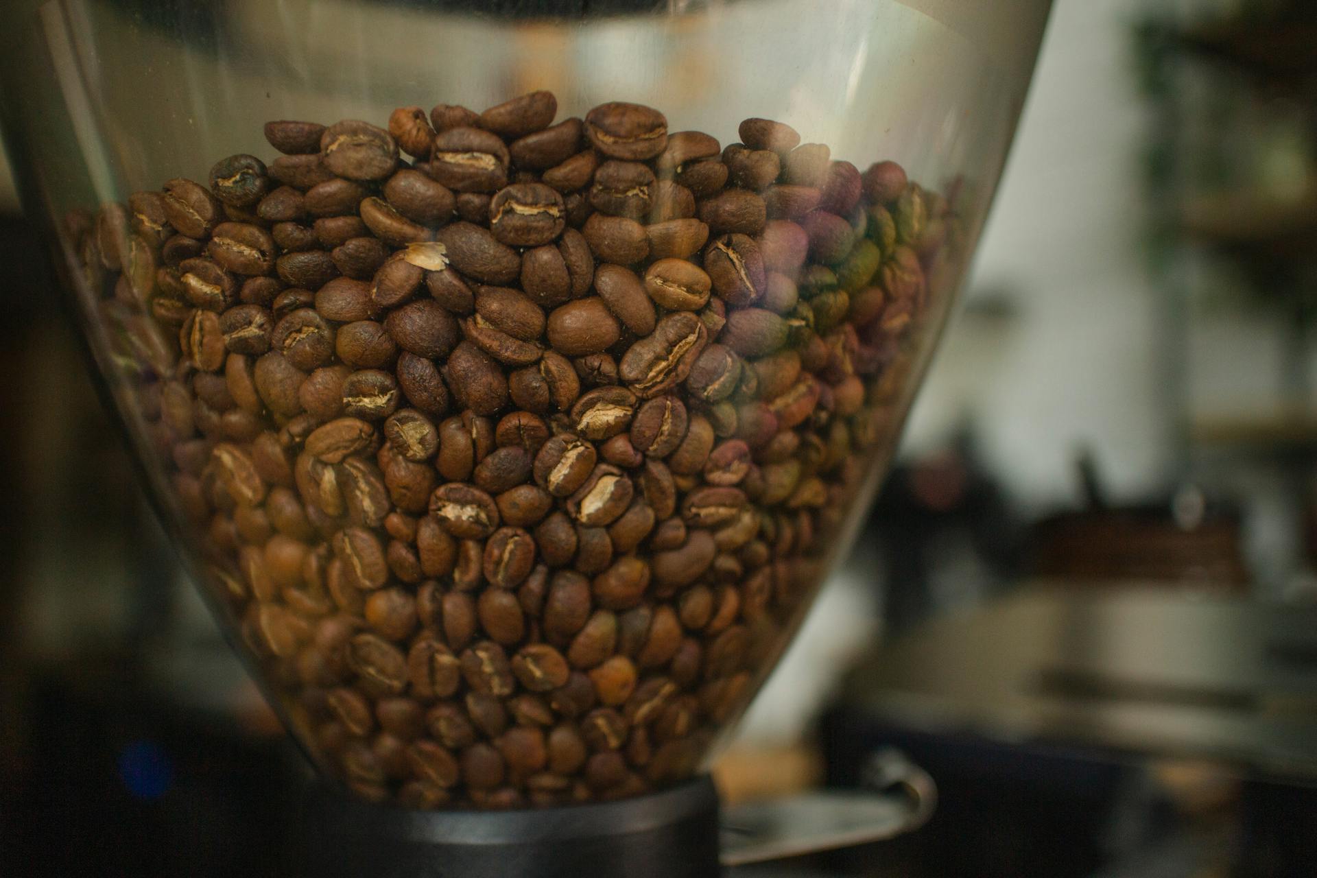 Coffee beans in a grinder hopper showcasing rich texture and aroma.