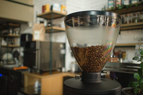 An Aromatic Coffee Beans on a Coffee Maker