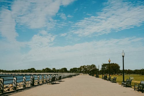 公共の公園, 歩道, 湖の無料の写真素材