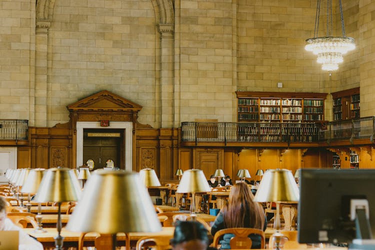 People Sitting On Chairs Inside The Library