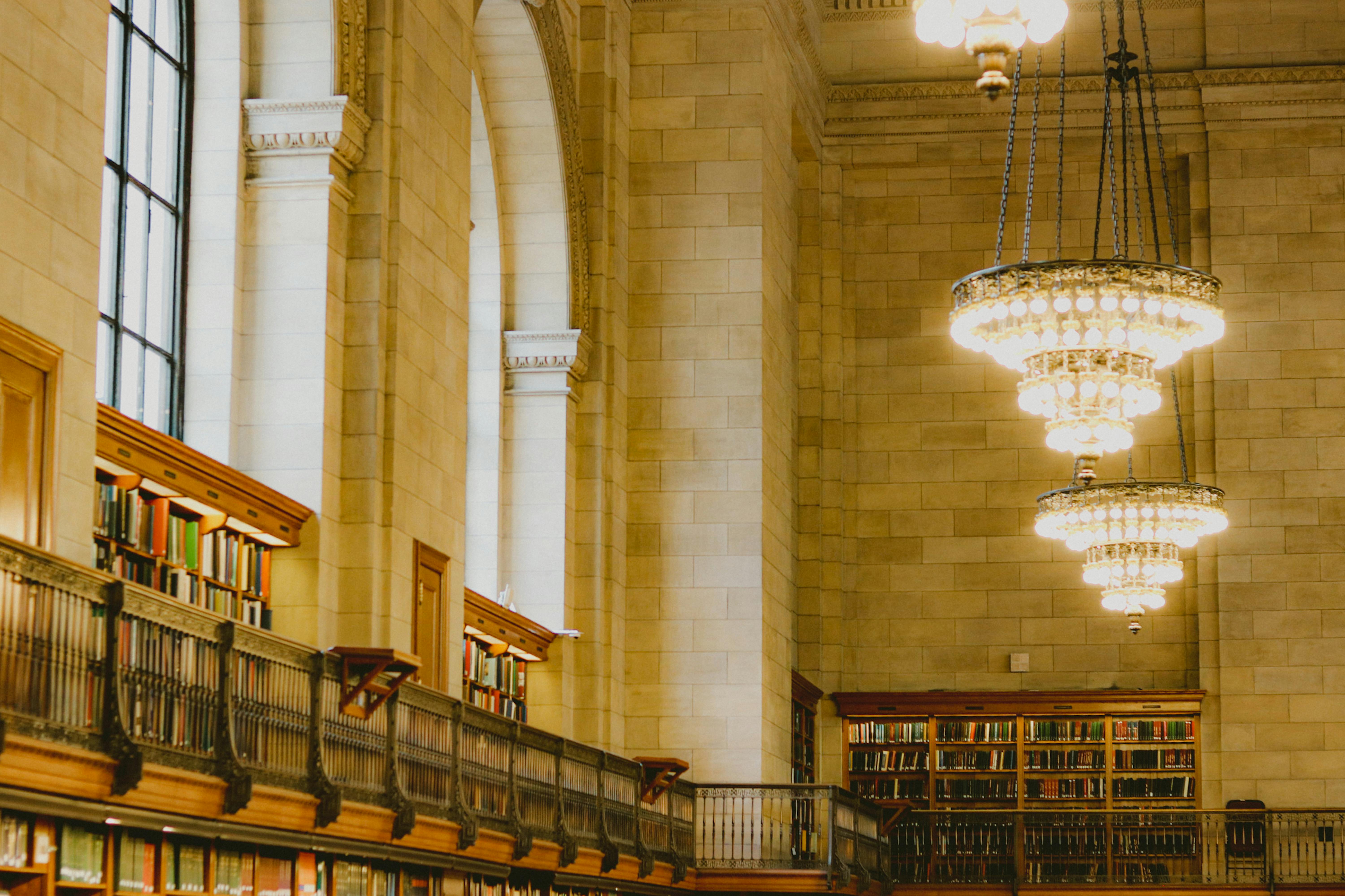 Library Filled With Bookcases · Free Stock Photo