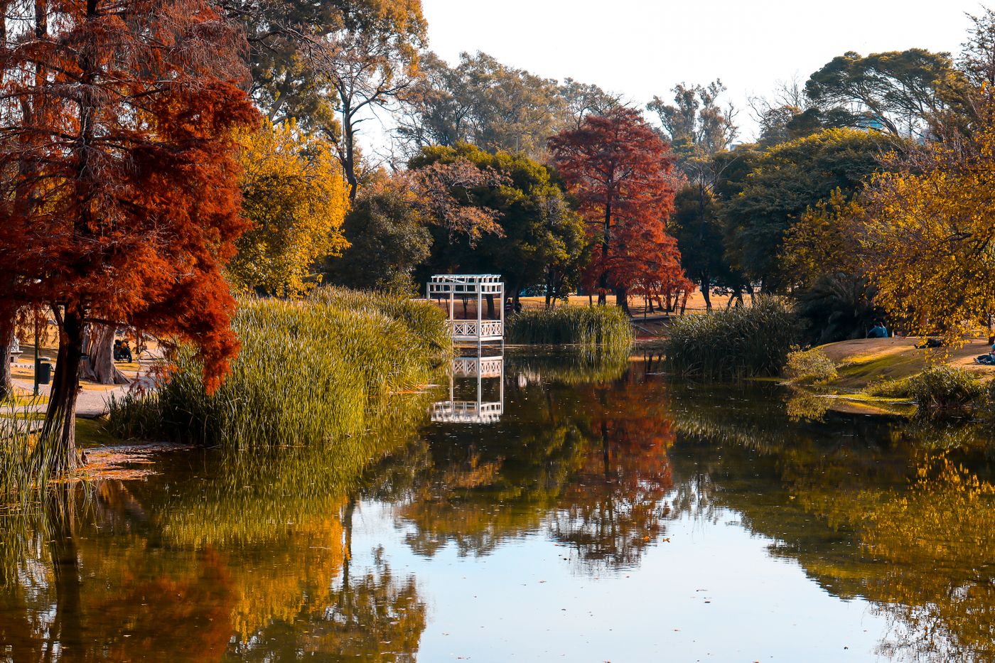 Parque Sarmiento (Rosedal y Lago)