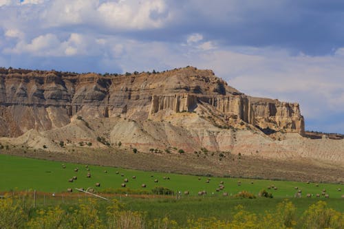 Green Grass Field Near Brown Mountains