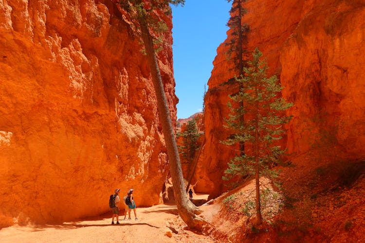 Tourists Looking At The Red Rocks