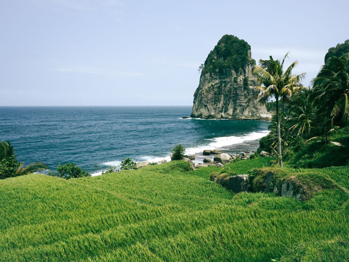 8 Day Detox, Rejuvenation Wellness Retreat in Bali, Indonesia 1