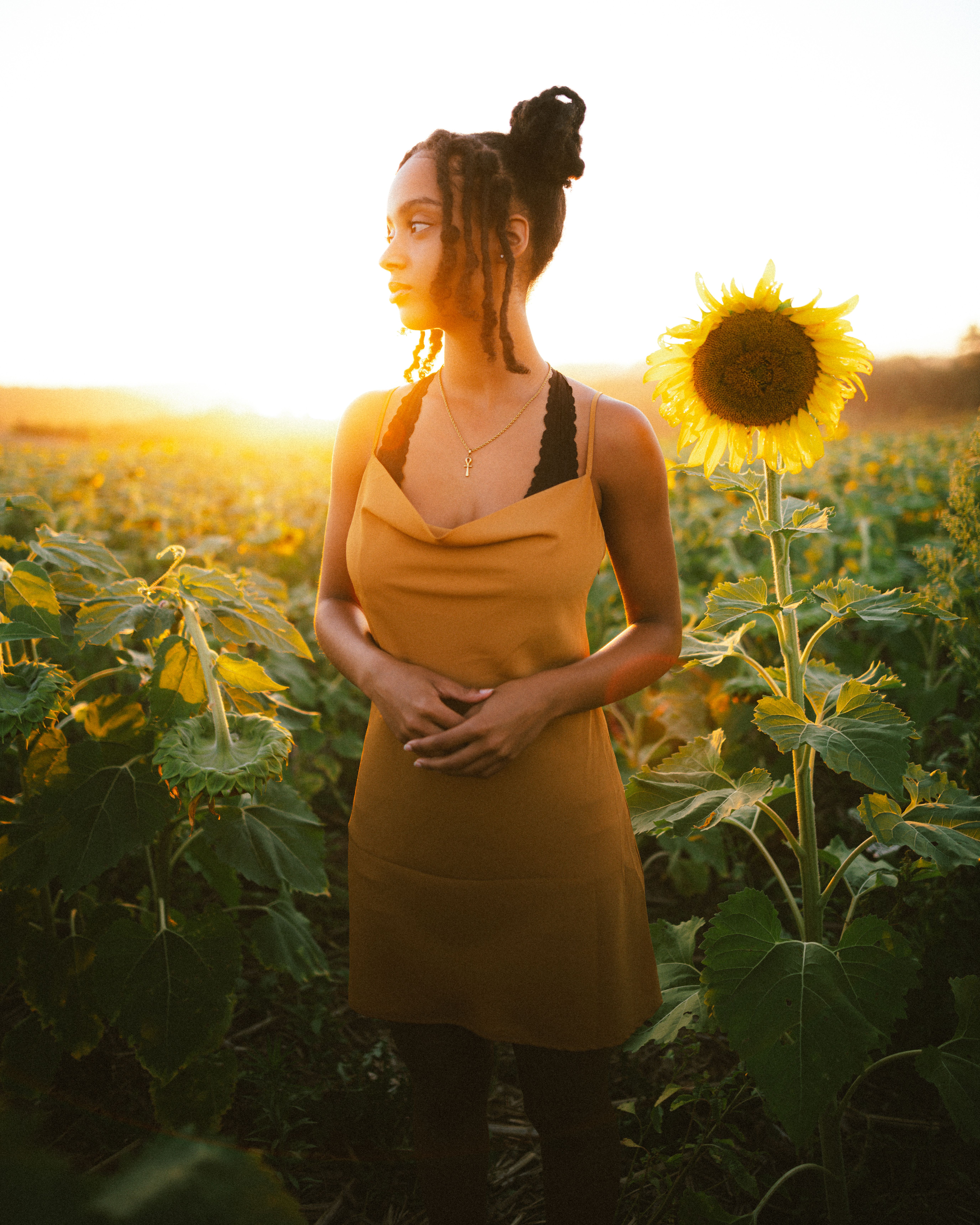 Woman Standing in Sunflower Field · Free Stock Photo