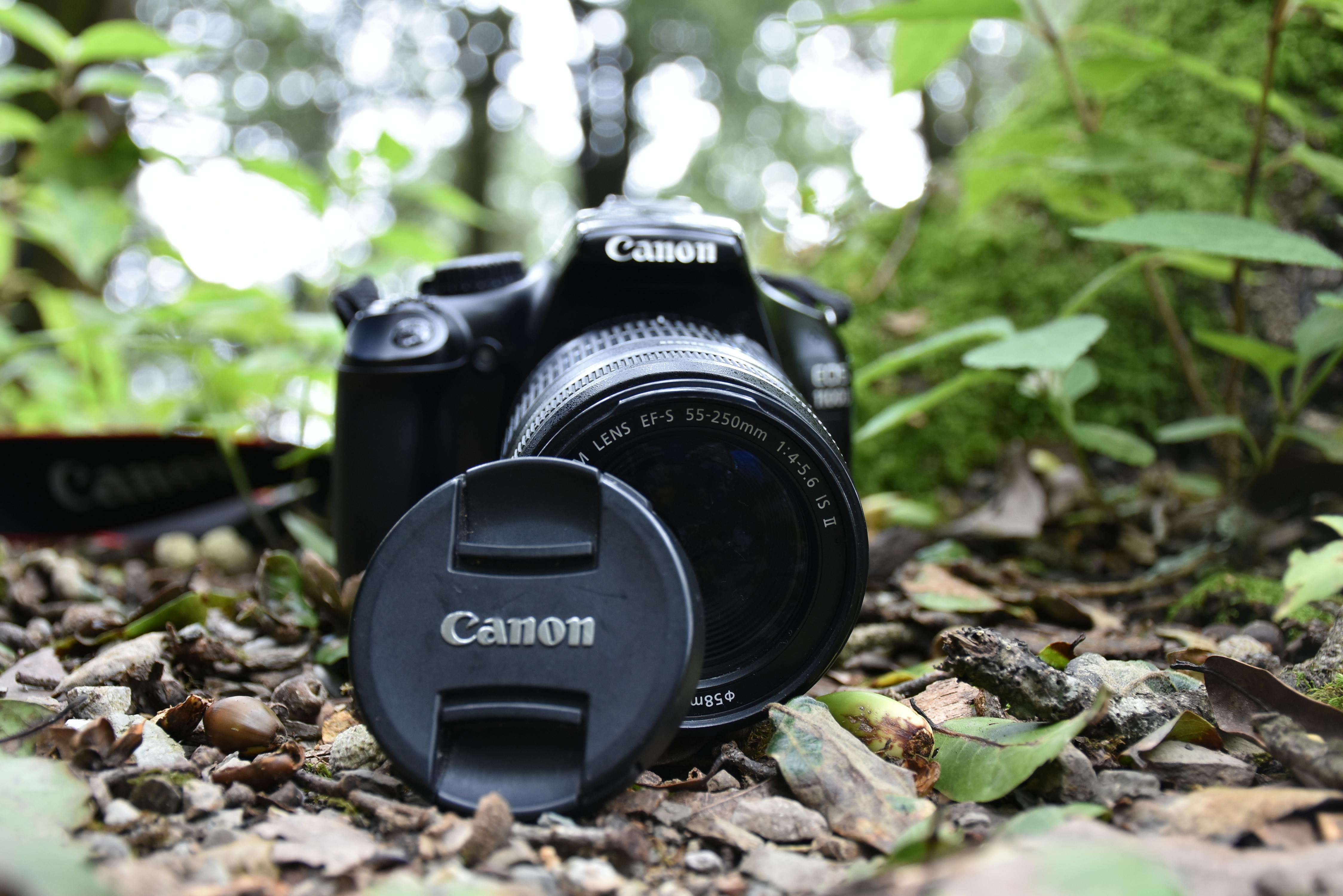 Free stock photo of canon, nikon camera