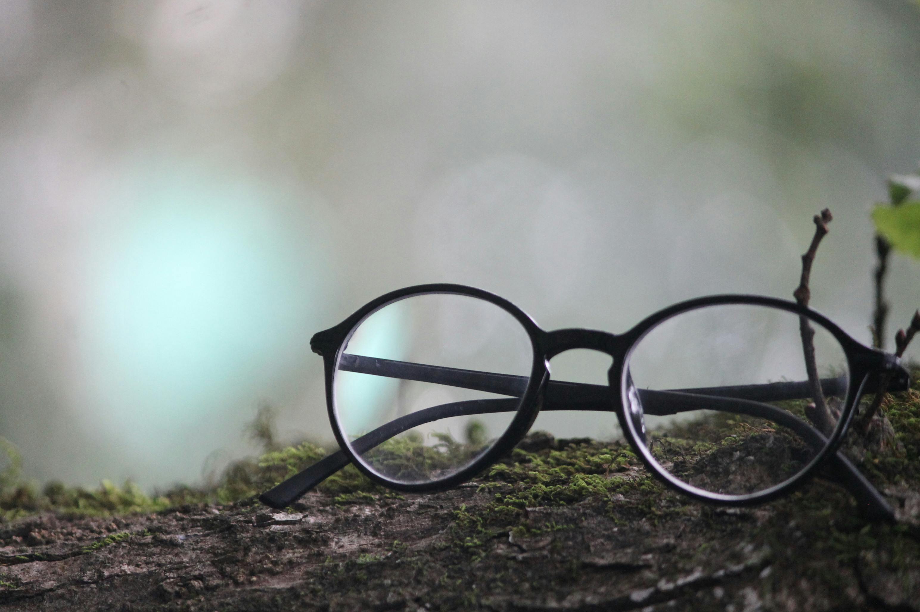 Free stock photo of eye glasses