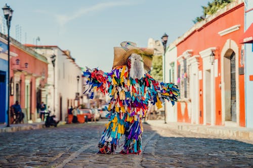 Imagen libre de un hombre vestido con traje folklórico mexicano tradicional