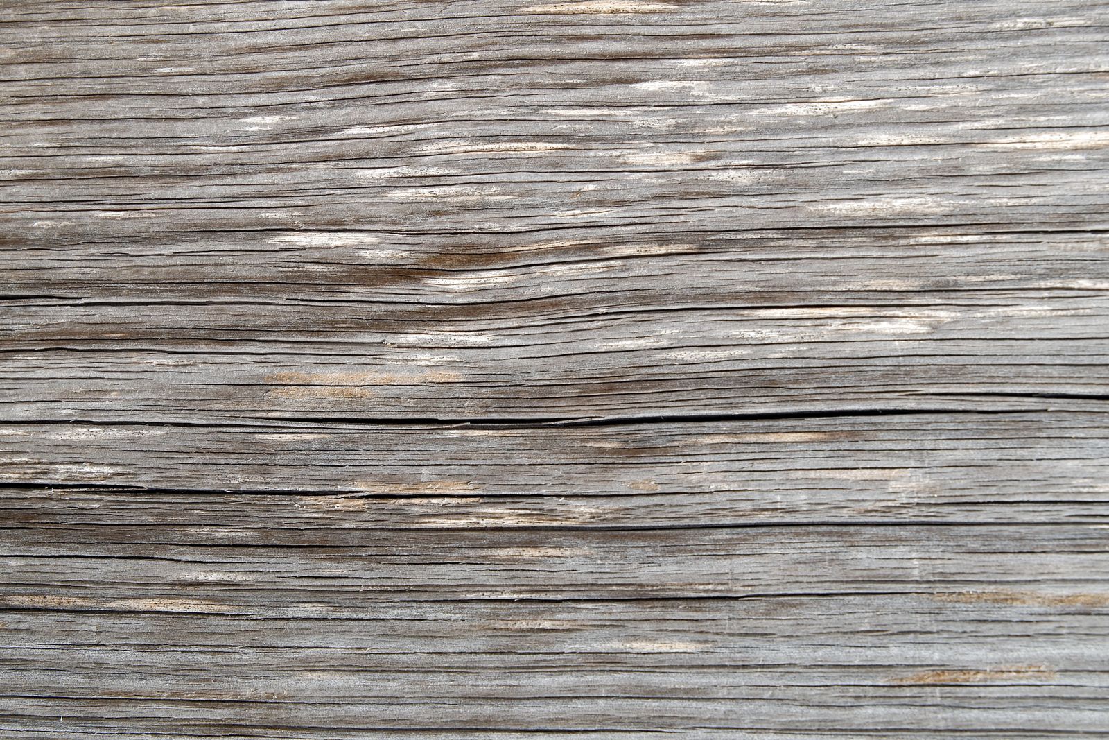 Close-up of rough acacia-toned wood grain showing natural lines and warm earthy patterns