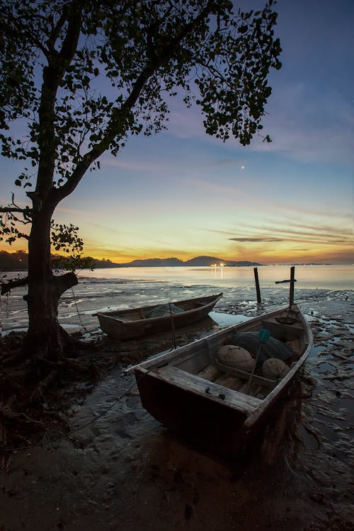 Gratis lagerfoto af båd, daggry, kano