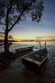 2 Boats on Seashore Beside Brown Tree