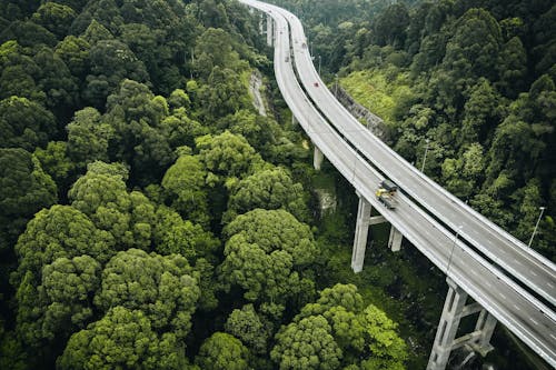 Fotos de stock gratuitas de autopista, bosque, carretera