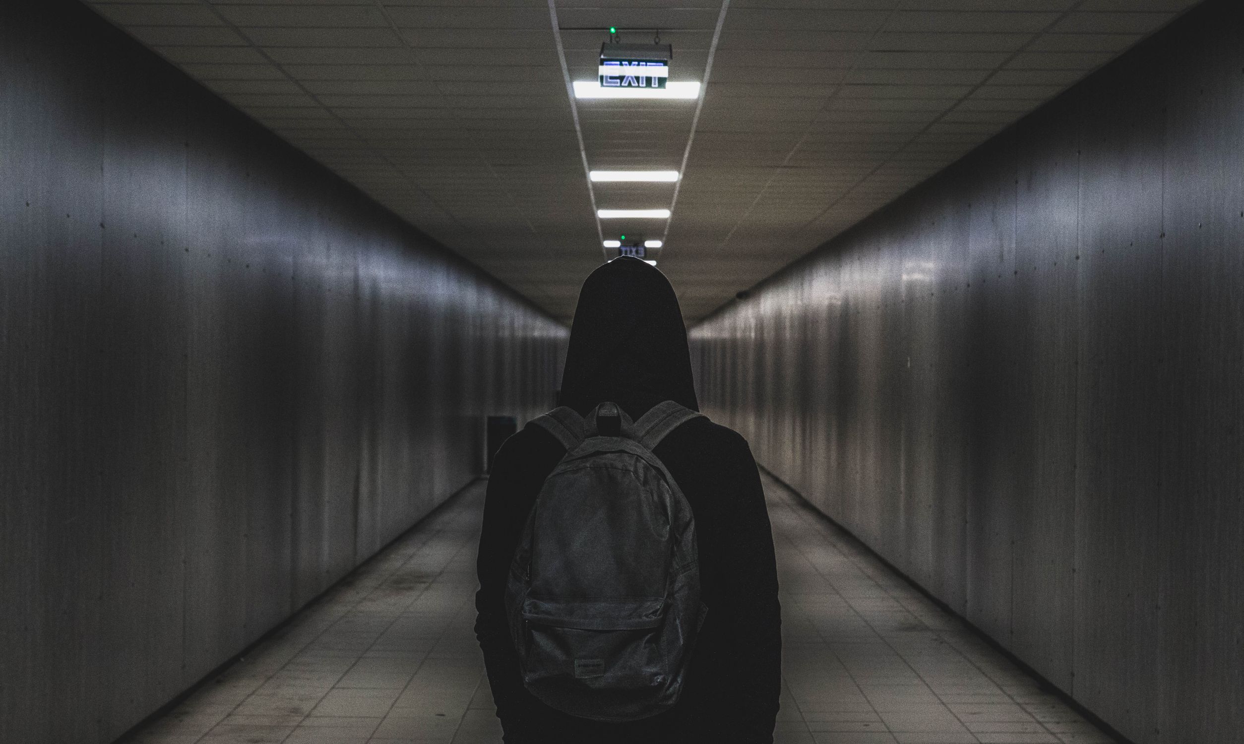 Person Facing Backwards · Free Stock Photo