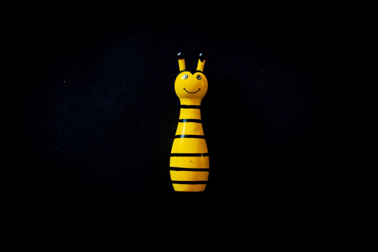 a colorful wooden bee toy against a dark contrasting background