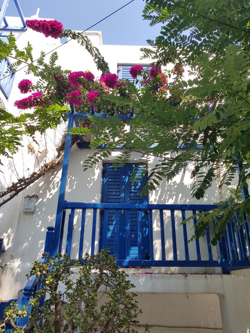 Free Beautiful Mykonos house with vibrant blue shutters and balcony adorned with pink bougainvillea. Stock Photo