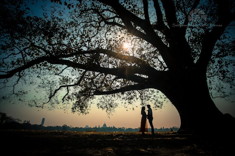 A Couple Standing Under The Tree