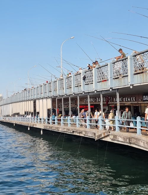 伊斯坦堡, 加拉塔桥, 土耳其 的 免费素材图片